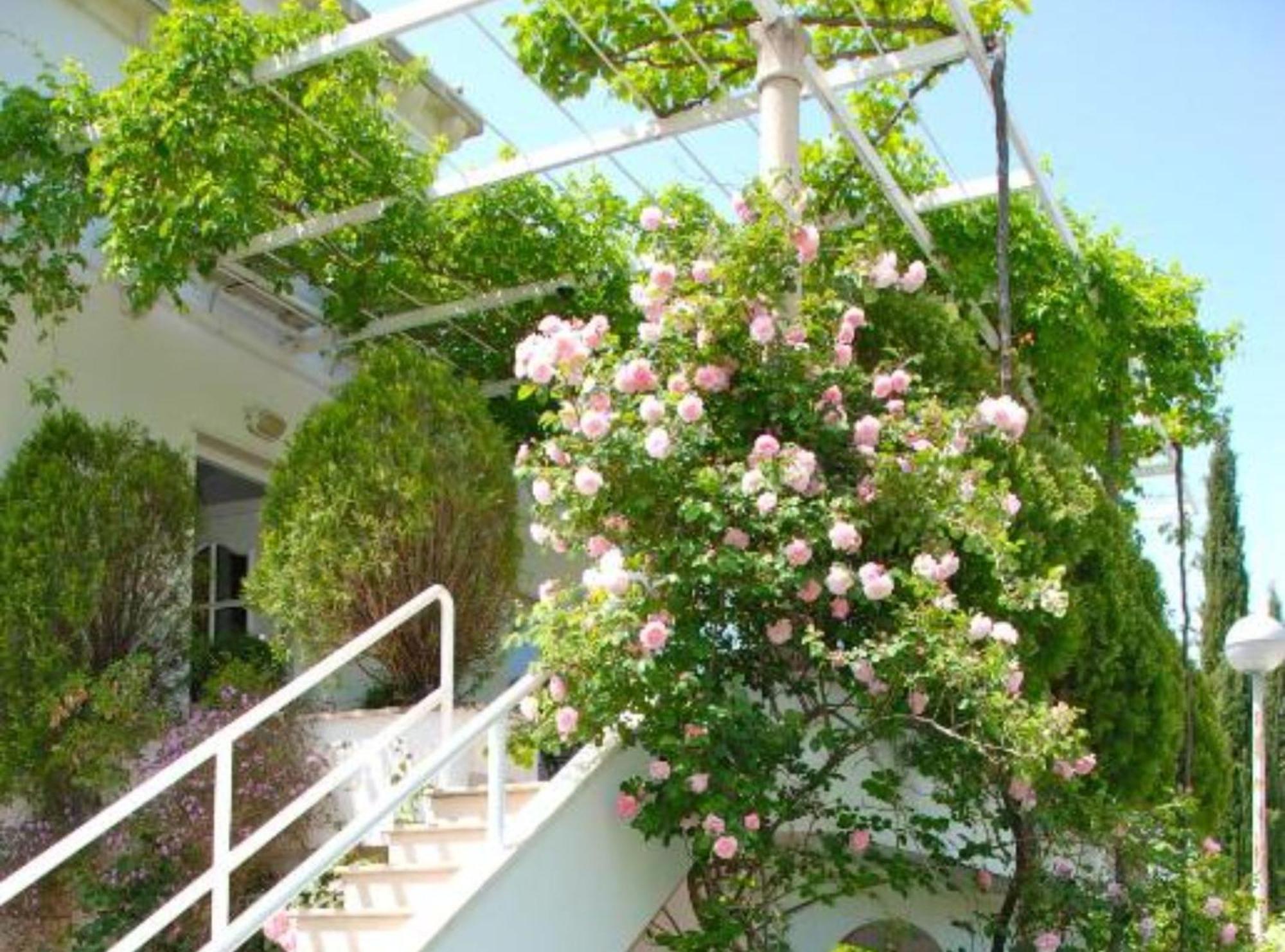 Villa Mediterranea Mlini Dış mekan fotoğraf